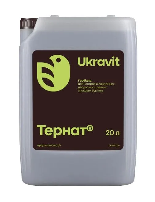 Тернат