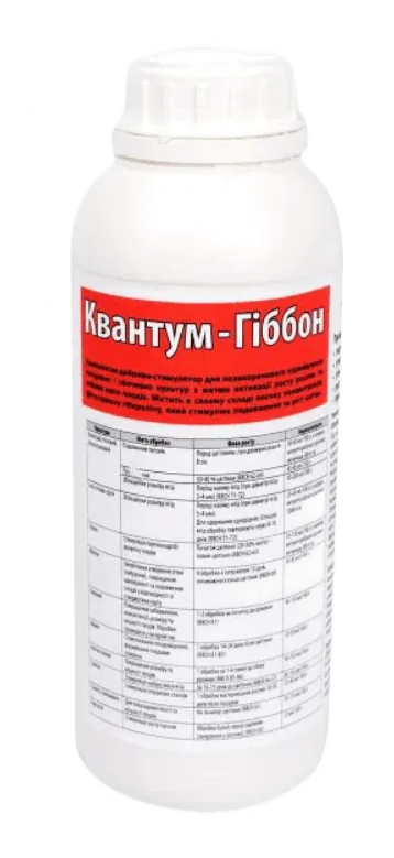 Квантум Гіббон