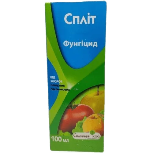 Спліт, КЕ