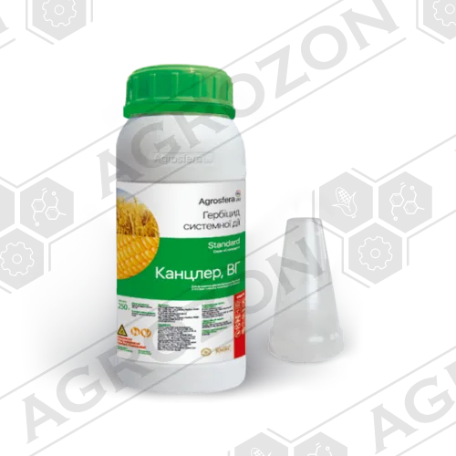 Канцлер