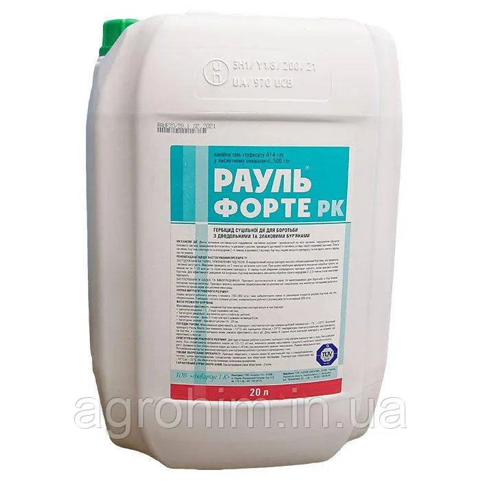 Рауль Форте