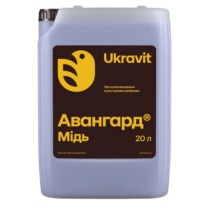 Авангард Мідь
