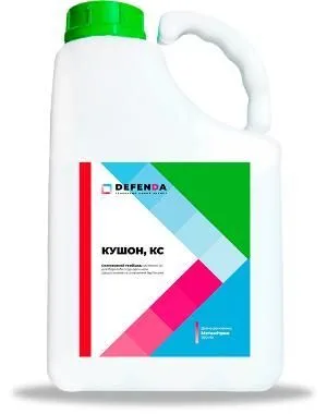 Кушон