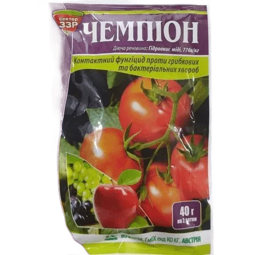 Чемпіон