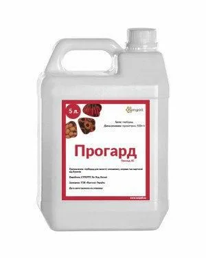 Прогард, КС