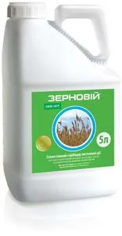 Зерновій, МВЕ