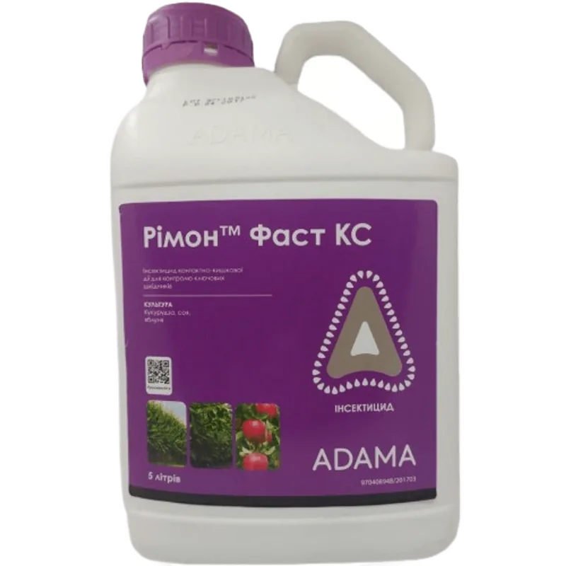 Рімон Фаст, КС