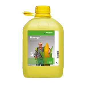 Ретенго, КЕ