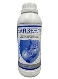 Кайзер