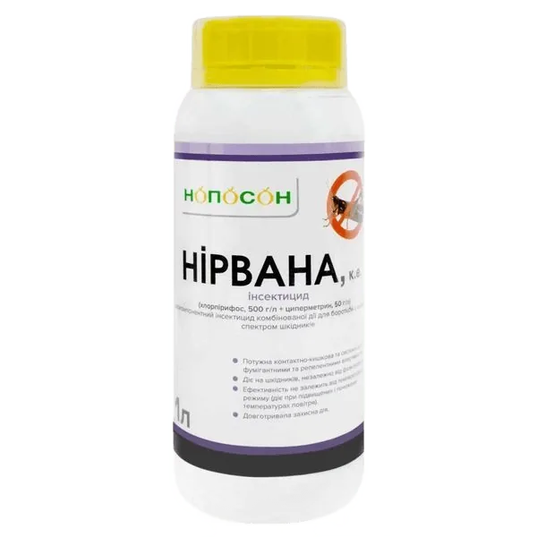 Нірвана, КЕ #2