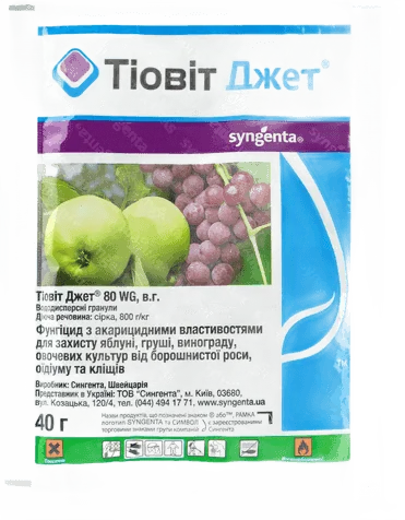 Тіовіт Джет, ВГ