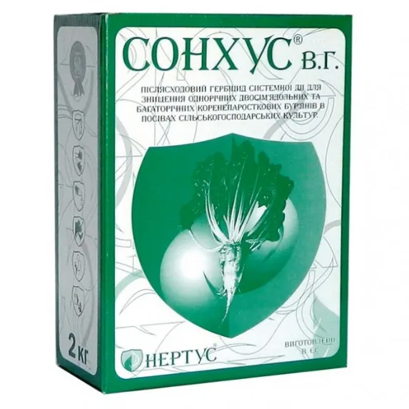 Сонхус, ВГ