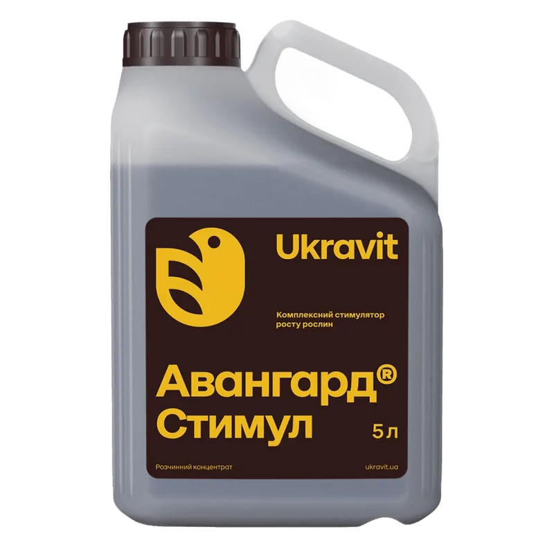 Авангард Стимул