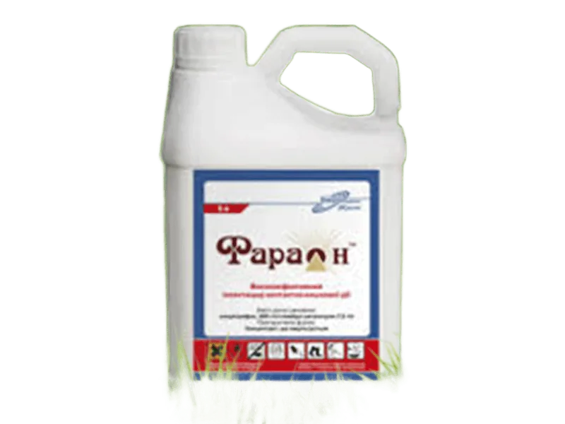 Фараон, КЕ 20 л