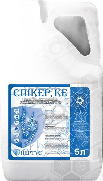 Спікер, КЕ