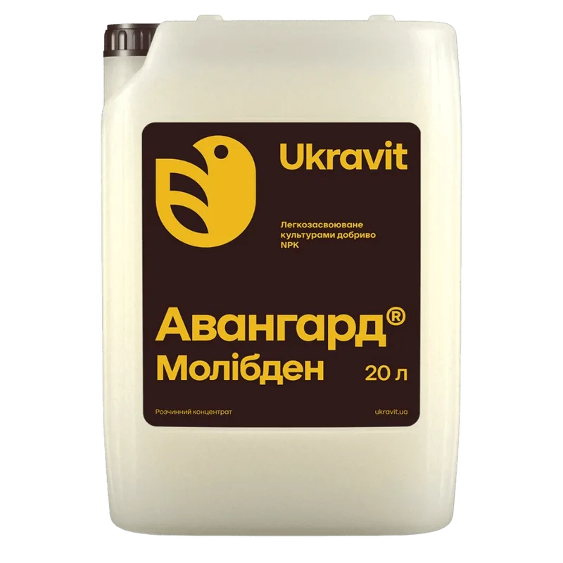 Авангард Молібден