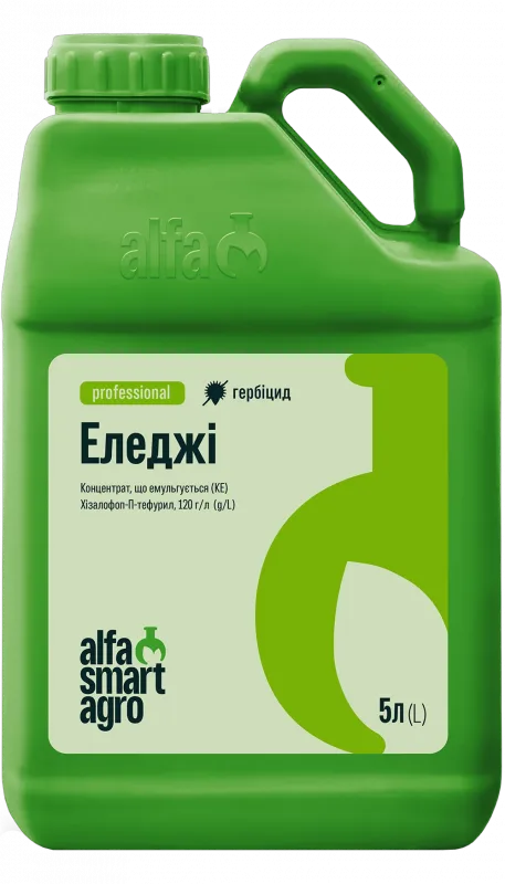 Еледжі