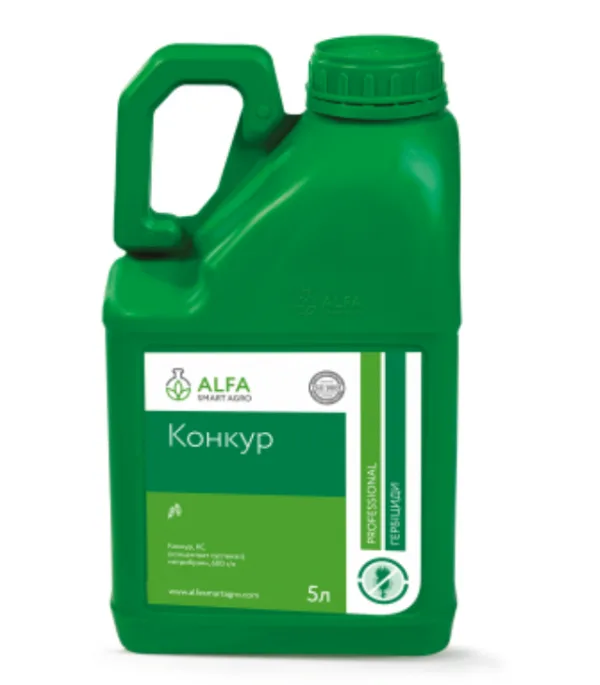 Конкур, КС