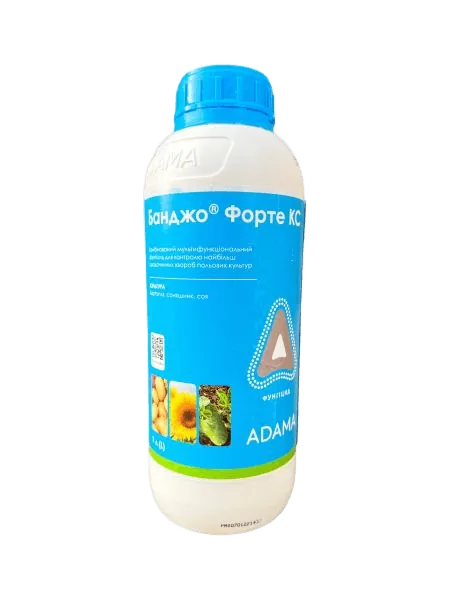 Банджо Форте 1 л