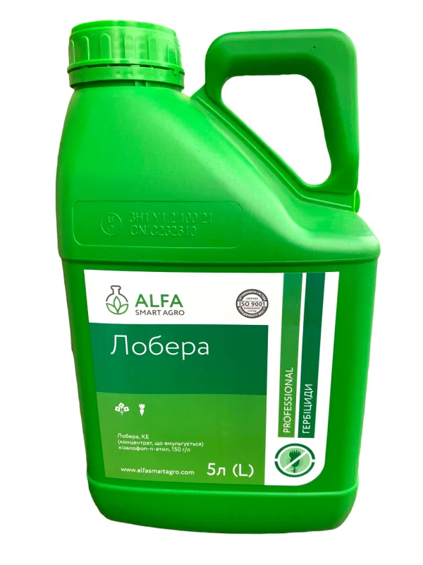 Лобера, КЕ