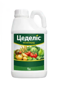 Цеделіс, ОД