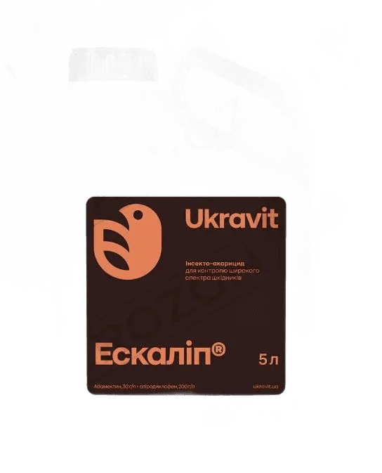 Ескаліп, КС