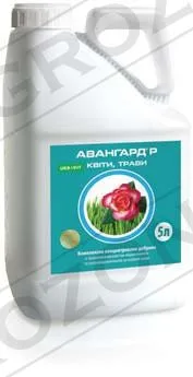 Авангард Квіти, трави