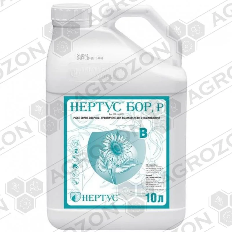 Бор Нертус
