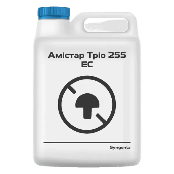 Амістар Тріо 255 ЕС, КЕ