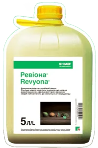 Ревіона, КС