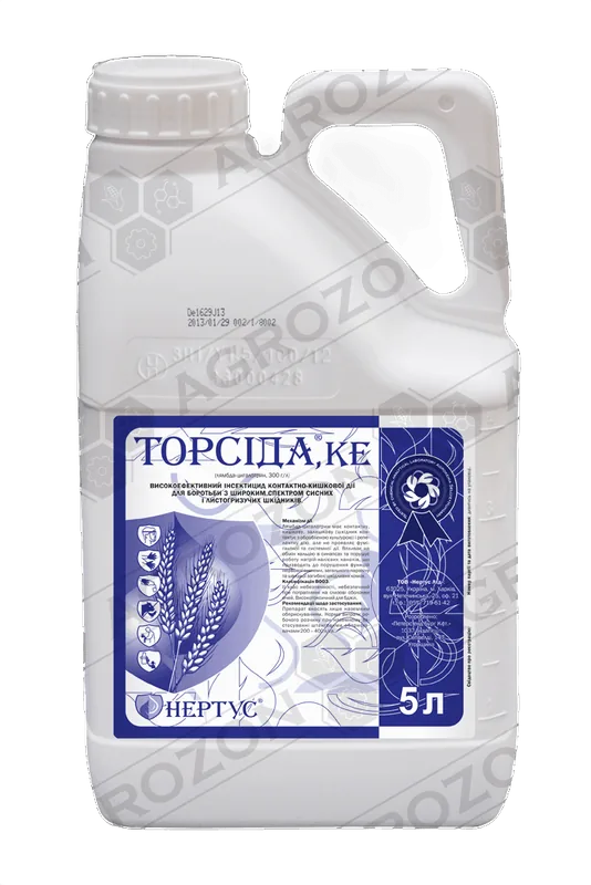 Торсіда, КЕ