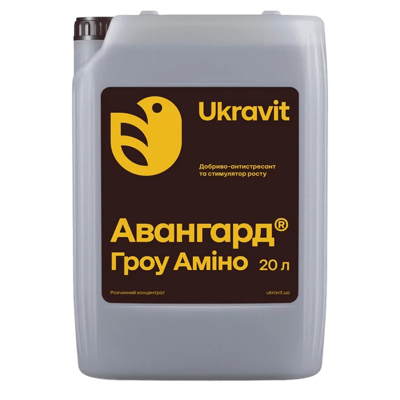 Авангард Гроу Аміно #3