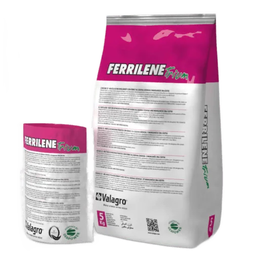 Ferrilene Trium