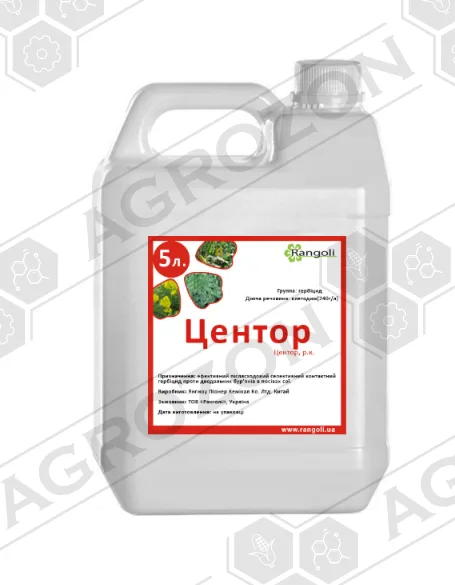 Центор