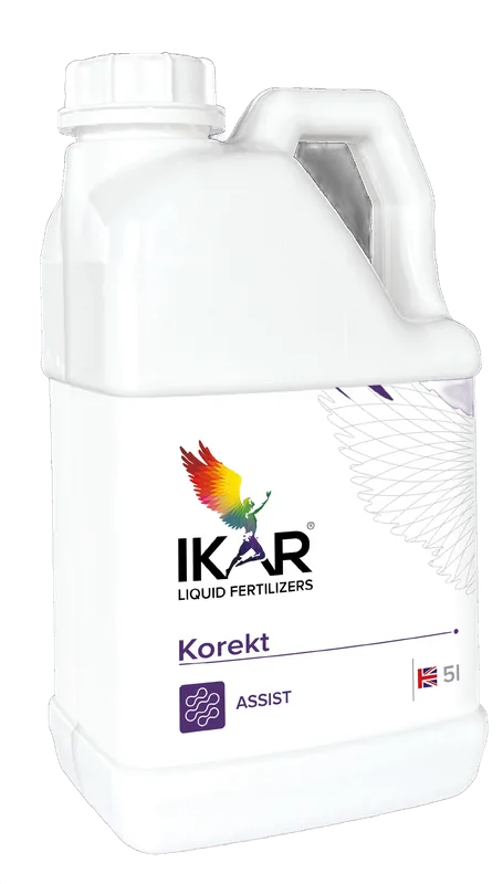 Ікар Коррект