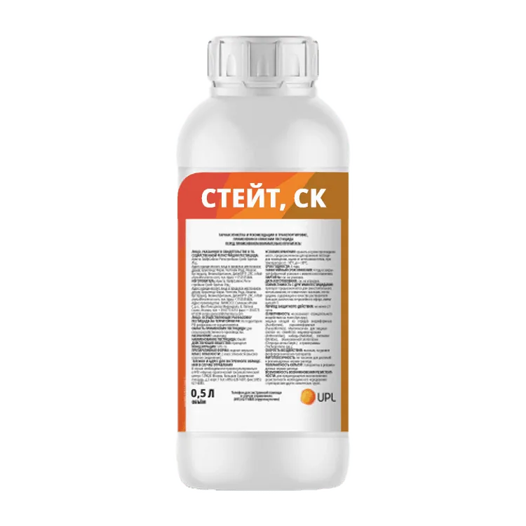 Стейт, СК