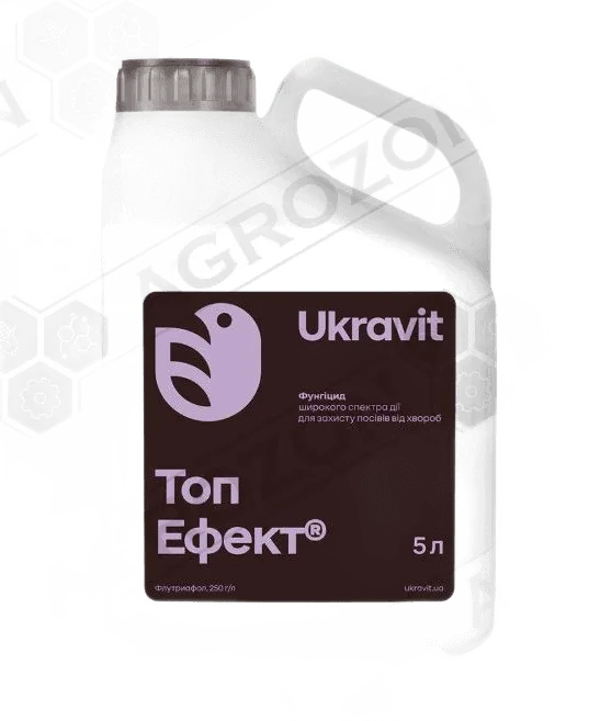 Топ Ефект, КС