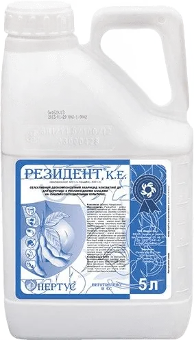 Резидент, КС