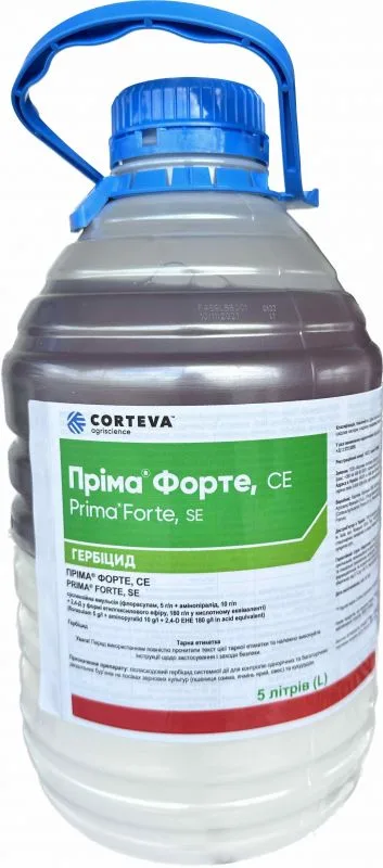 Пріма Форте, СЕ