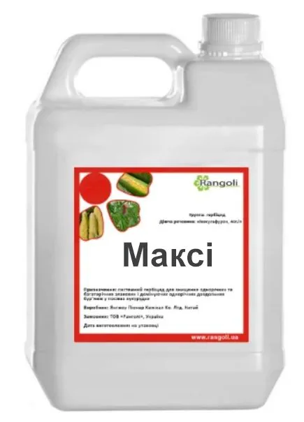 Максі, ТН