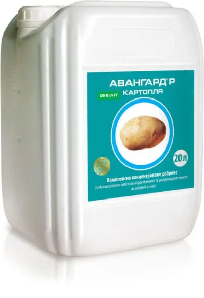 Авангард Картопля