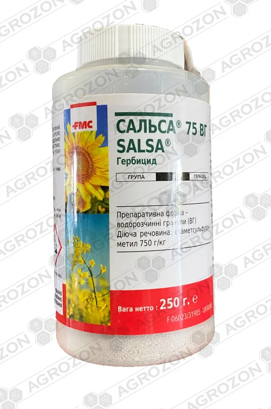 Сальса #2
