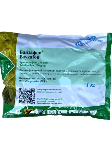 Байзафон, ЗП