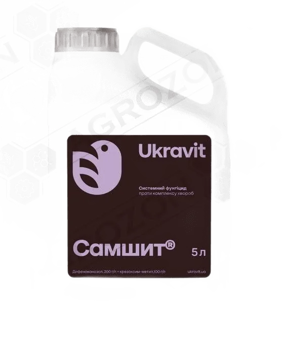 Самшит, КС