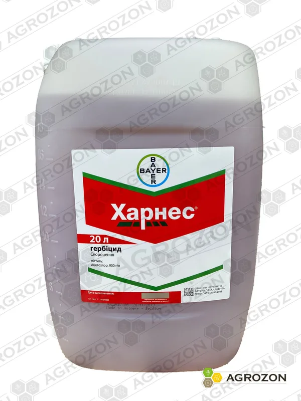 Харнес