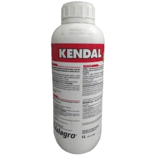Кендал (Kendal)