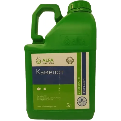 Камелот