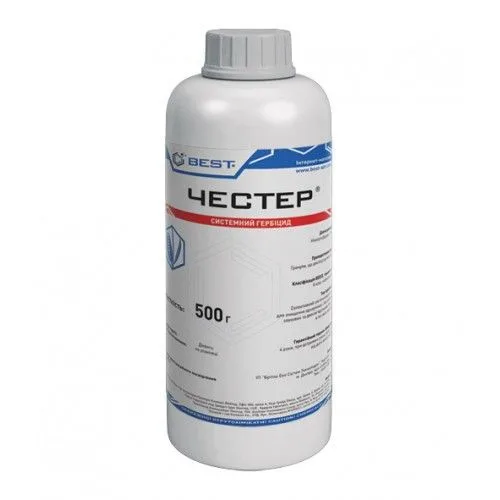 Честер, ВГ