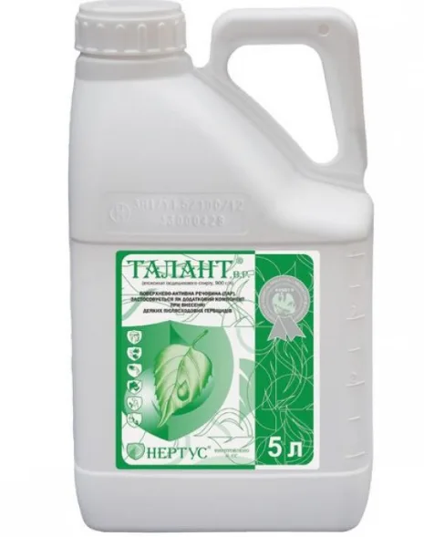 Талант ПАР