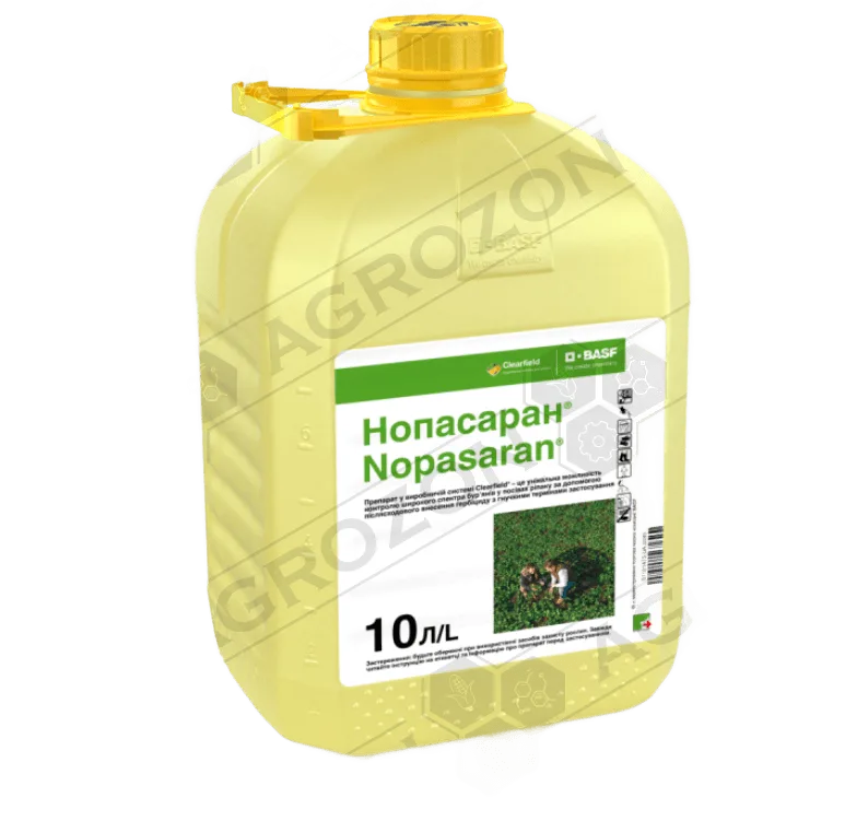 Нопасаран Флекс